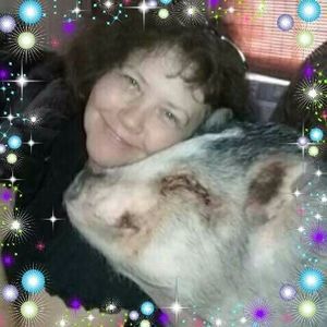 Meet your Posher, Tammy